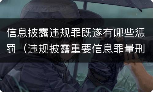信息披露违规罪既遂有哪些惩罚（违规披露重要信息罪量刑）