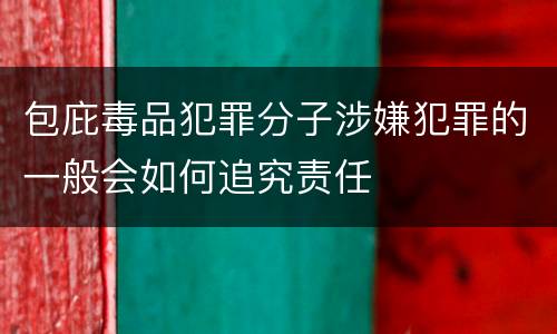 包庇毒品犯罪分子涉嫌犯罪的一般会如何追究责任