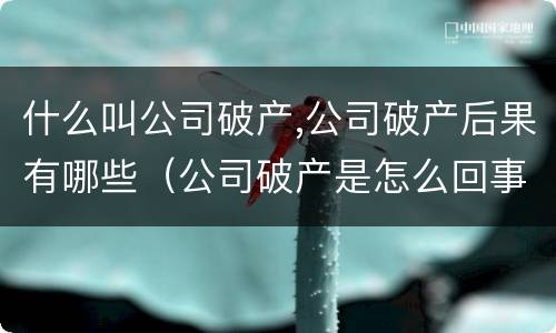 什么叫公司破产,公司破产后果有哪些（公司破产是怎么回事）