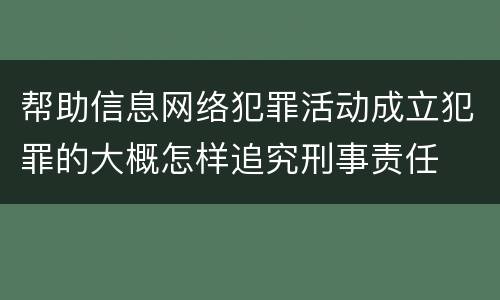 帮助信息网络犯罪活动成立犯罪的大概怎样追究刑事责任