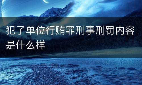 犯了单位行贿罪刑事刑罚内容是什么样