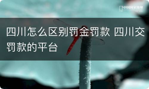四川怎么区别罚金罚款 四川交罚款的平台