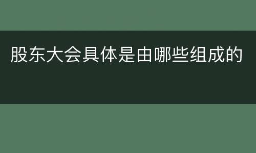 股东大会具体是由哪些组成的