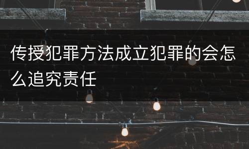 传授犯罪方法成立犯罪的会怎么追究责任