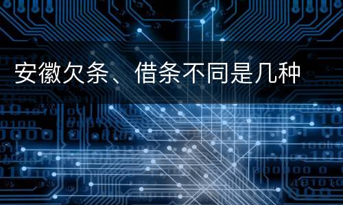 安徽欠条、借条不同是几种