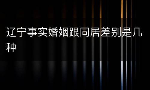 辽宁事实婚姻跟同居差别是几种