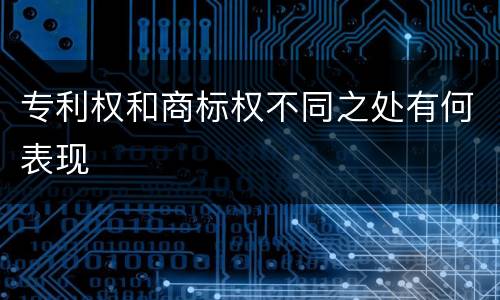 专利权和商标权不同之处有何表现