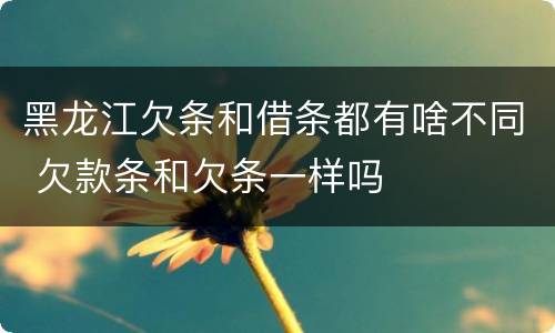 黑龙江欠条和借条都有啥不同 欠款条和欠条一样吗