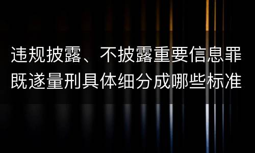 违规披露、不披露重要信息罪既遂量刑具体细分成哪些标准
