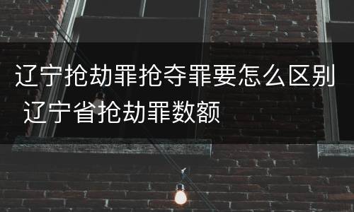 辽宁抢劫罪抢夺罪要怎么区别 辽宁省抢劫罪数额