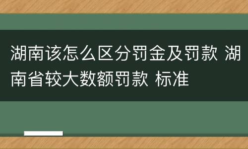 湖南该怎么区分罚金及罚款 湖南省较大数额罚款 标准