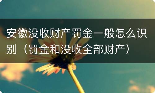 安徽没收财产罚金一般怎么识别（罚金和没收全部财产）