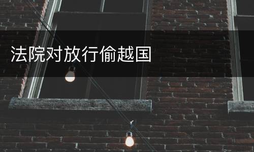 法院对放行偷越国