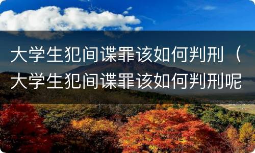 大学生犯间谍罪该如何判刑（大学生犯间谍罪该如何判刑呢）