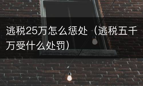 逃税25万怎么惩处（逃税五千万受什么处罚）