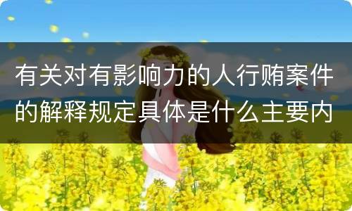 有关对有影响力的人行贿案件的解释规定具体是什么主要内容