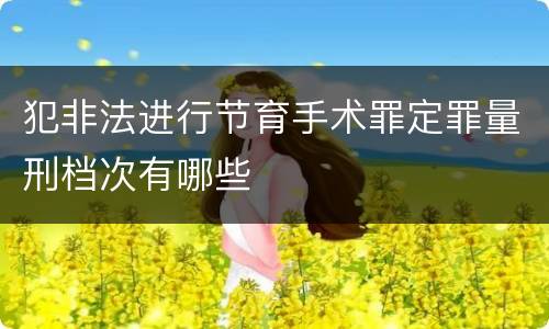犯非法进行节育手术罪定罪量刑档次有哪些