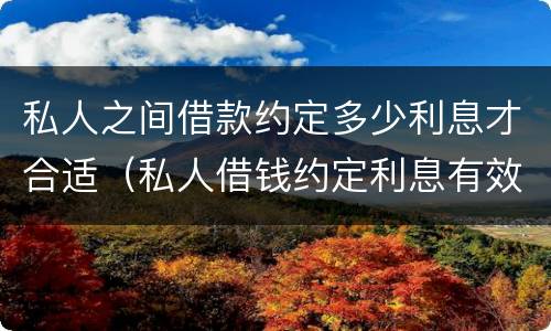 私人之间借款约定多少利息才合适（私人借钱约定利息有效吗）