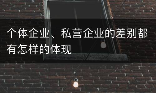 个体企业、私营企业的差别都有怎样的体现