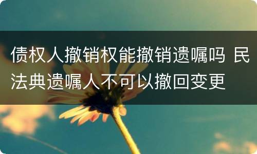 债权人撤销权能撤销遗嘱吗 民法典遗嘱人不可以撤回变更