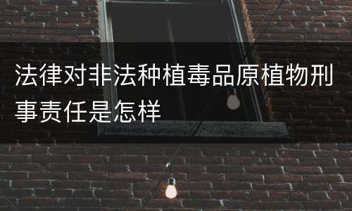 法律对非法种植毒品原植物刑事责任是怎样