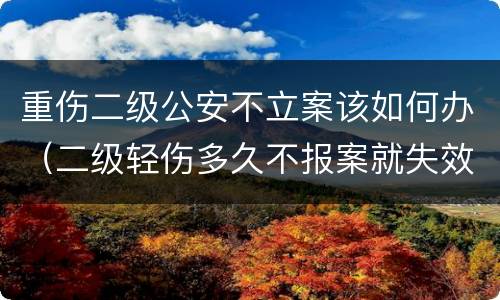 重伤二级公安不立案该如何办（二级轻伤多久不报案就失效）