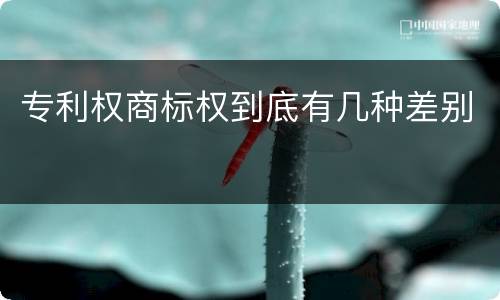 专利权商标权到底有几种差别