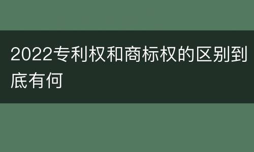 2022专利权和商标权的区别到底有何