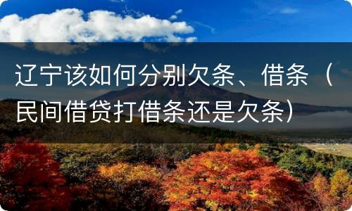 辽宁该如何分别欠条、借条（民间借贷打借条还是欠条）