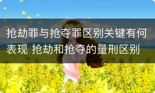 抢劫罪与抢夺罪区别关键有何表现 抢劫和抢夺的量刑区别