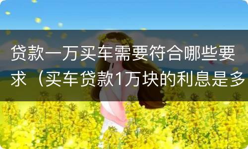 贷款一万买车需要符合哪些要求（买车贷款1万块的利息是多少）