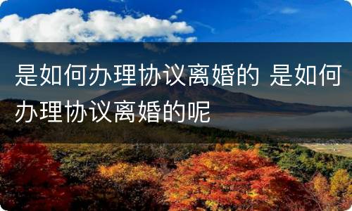 是如何办理协议离婚的 是如何办理协议离婚的呢