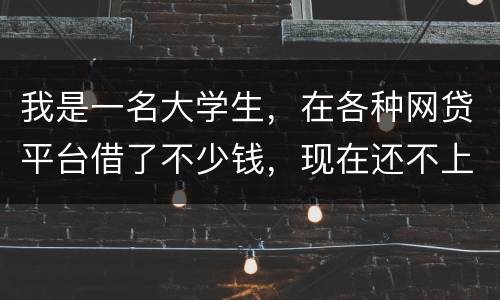 我是一名大学生，在各种网贷平台借了不少钱，现在还不上，如果不还会怎么样