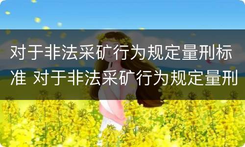 对于非法采矿行为规定量刑标准 对于非法采矿行为规定量刑标准是