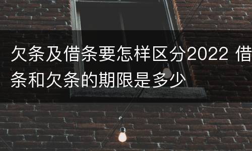 欠条及借条要怎样区分2022 借条和欠条的期限是多少