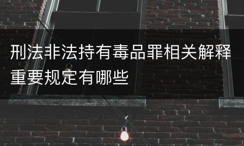 刑法非法持有毒品罪相关解释重要规定有哪些