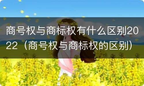 商号权与商标权有什么区别2022（商号权与商标权的区别）