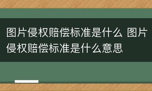 图片侵权赔偿标准是什么 图片侵权赔偿标准是什么意思