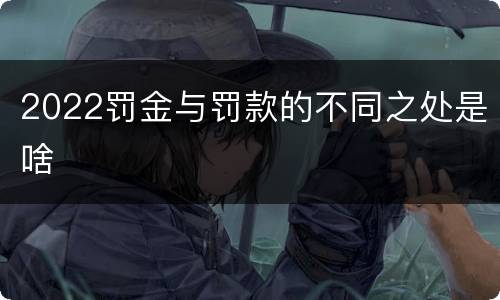 2022罚金与罚款的不同之处是啥