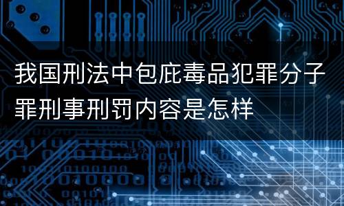 我国刑法中包庇毒品犯罪分子罪刑事刑罚内容是怎样