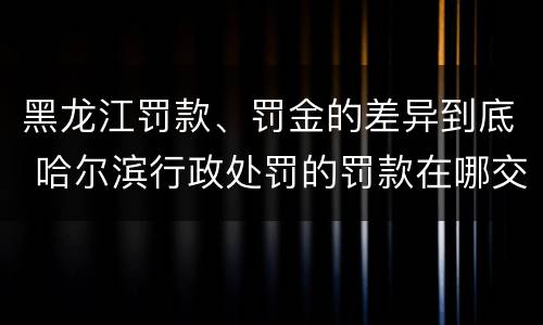 黑龙江罚款、罚金的差异到底 哈尔滨行政处罚的罚款在哪交