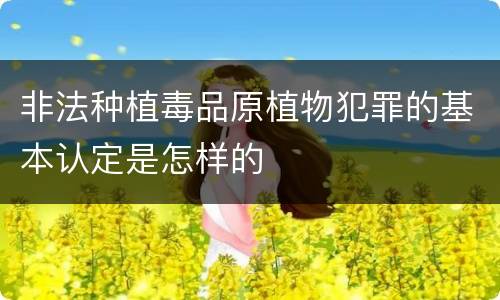 非法种植毒品原植物犯罪的基本认定是怎样的