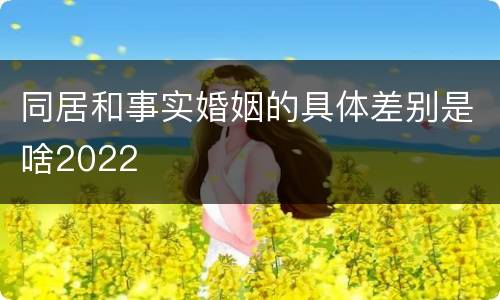 同居和事实婚姻的具体差别是啥2022