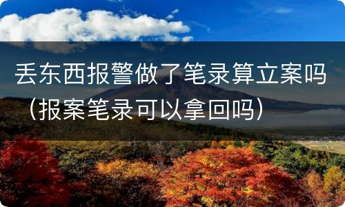 丢东西报警做了笔录算立案吗（报案笔录可以拿回吗）