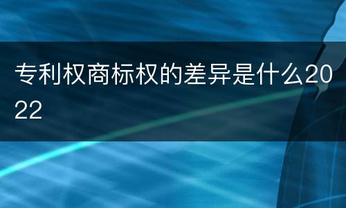 专利权商标权的差异是什么2022