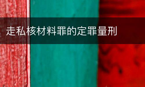 走私核材料罪的定罪量刑