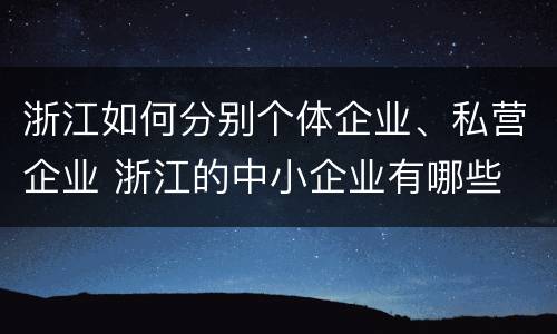 浙江如何分别个体企业、私营企业 浙江的中小企业有哪些
