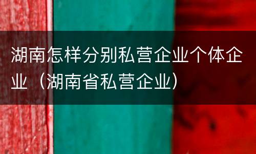 湖南怎样分别私营企业个体企业（湖南省私营企业）