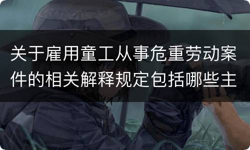 关于雇用童工从事危重劳动案件的相关解释规定包括哪些主要内容