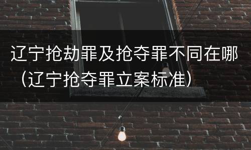 辽宁抢劫罪及抢夺罪不同在哪（辽宁抢夺罪立案标准）